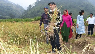 बागेश्वर  धान की फसल काटने खेत में पहुंचे जिलाधिकारी आशीष