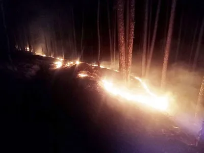 वन विभाग फिसड्डी साबित  नियंत्रण से बाहर जंगलों की आग  