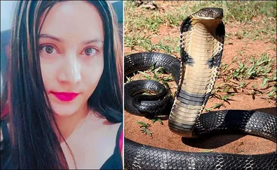हल्द्वानी   जहरीली गर्लफ्रेंड माही बनी  कैरम क्वीन   प्रेमी को कोबरा से डसवाकर दी थी खौफनाक मौत