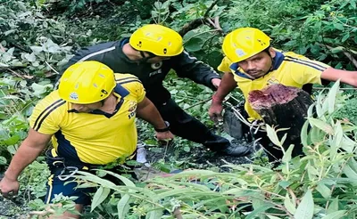 उत्तराखंड   मैगी प्वाइंट के पास खाई में गिरी कार  छह लोग सवार थे  दो की मौत