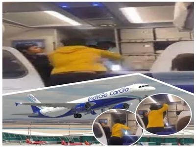 video   दिल्ली से गोवा जा रही फ्लाइट में यात्री ने पायलट पर किया हमला