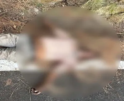 बिग ब्रेकिंग   पांव फिसलने से पहाड़ से गिरा व्यक्ति  दर्दनाक मौत
