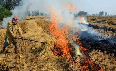 केंद्र सरकार ने पराली जलाने पर जुर्माना दोगुना किया